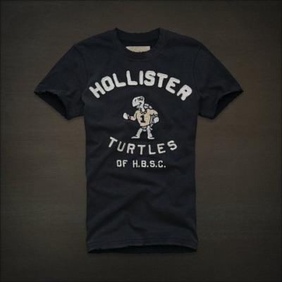 Hollister Men Shirts-331